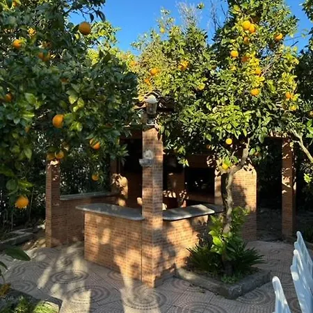 Casa Flores Leiria Silvercoast Portugal Apartamento Monte Redondo