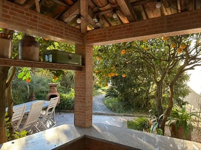 Apartment Casa Flores Leiria Silvercoast Portugal